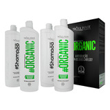 Tróia Hair 2 Kits Semi Definitiva Organica 0 Formol 4x1l