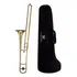 Trombone De Vara Michael Profissional Laqueado + Case