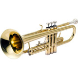 Trompete Bb Htr 300l Laqueado Harmonics