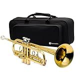 Trompete BB Laqueado HTR-300L Harmonics