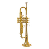 Trompete Hs Musical Hs 1048 Laqueado sib 