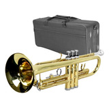 Case