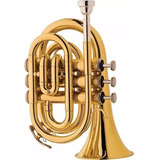 Trompete Pocket Eagle Sib Tp520 Laqueado C estojo Cor Dourado