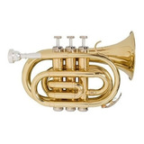 Trompete Pocket Michael Wpkm35n Bb Profissional Laqueado