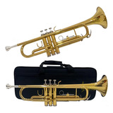 Ibanez