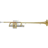 Jtr019