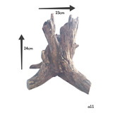 A11