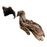 Tronco Aroeira Natural Para Aquários Plantados