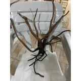 Tronco Importado Para Aquapaisagismo 49 Cm X 50 Cm Cod 09