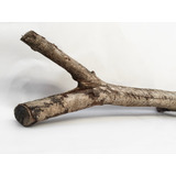 Tronco Natural Hardscape Terrário Bioativo Réptil Anfíbios