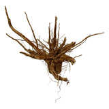 Tronco Natural Raiz Para Decoração Orquídea Enfeite