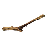 Tronco Raiz Aquario Plantado Decoração Decorativo Tratado