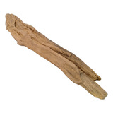 Tronco Raiz Madeira Aquario Plantado Jumbo Enfeite Ornamento