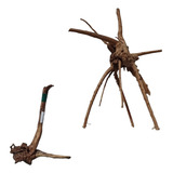 22cm