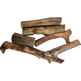 Tronco Tora Natural Viveiro Playground Terrario Artesanato