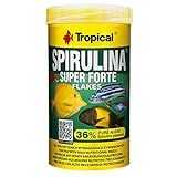 Tropical Ração Para Peixes Super Spirulina