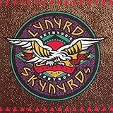 Truck Drivin Man Demo Version