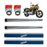 Tubo Interno Bengala Honda Cb 300 2010 Nakata Par Retentor