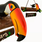 Tucano De Decoracao De