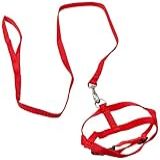 Tudo Pet Guia Peitoral Nylon Liso N- 2 Para Cães