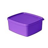 Tupperware Jeitosinho 400ml Roxo - Container De Freezer Básico