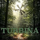 TURBINA