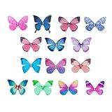 Tutuxio 70 Peças De Artesanato De Borboleta De Organza- 14 Apliques De 2 Camadas De Cores Borboletas Decoração De Parede De Renda 3D Ornamento De Borboleta Para Decoração De Festa De Casamento DIY