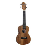 Ukulele Giannini Guk 23 Zw Concert C bag