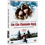 Um Cao Chamado Buck