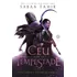 Um Céu Além Da Tempestade (vol. 4 Uma Chama Entre As Cinzas), De Tahir, Sabaa. Uma Chama Entre As Cinzas (4), Vol. 4. Editorial Verus Editora Ltda., Capa Mole Em Português, 2021