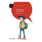 Um Garoto Consumista Na Roça, De Braz, Júlio Emílio. Diálogo Editorial Somos Sistema De Ensino, Tapa Mole En Português, 2010
