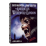 Dvd7311