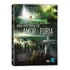 Uma Historia De Amor E Furia Dvd