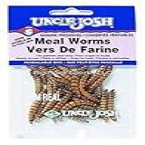 Worm