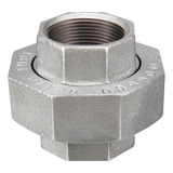 Uniao Galvanizada C assento Cônico Bronze 1 1 4 Super Reforç