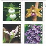United States Postal Service Selos Postais De Primeira Classe -Forever- -Livreto Com 20 Flores De Orquídeas Selvagens- 2020 Scott 5445-5454