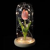 Uonlytech Lâmpada Tulipa Rosa Forever Tulipa Em Cúpula De Vidro Para Mulheres Aniversário Natal Dia Dos Namorados Presentes De Casamento