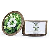 Urna In Memorian Sustentável E Elegante Para Cinzas De Estimação