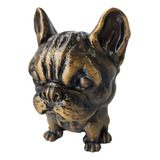 Urna Pet Box Para