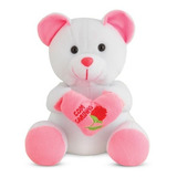 Urso De Pelúcia Com Coração Rosa