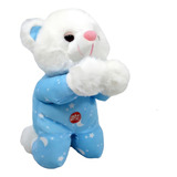 Urso Pelúcia Reza Pai Nosso Azul 22 Cm Altura