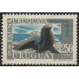 Uruguai Fauna Uruguaia Lobo marinho Aéreo 1970