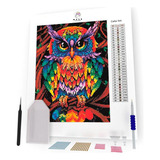 V Kit Pintura Terapêutica coruja Colorida diamond