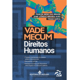 Vade Mecum Direitos Humanos Livro Proteção Internacional Dos Direitos Humanos Didh Documentos Soft Law Tratados Internacionais Carreiras Jurídicas Concursos Públicos