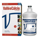 Valléecalcio Cálcio E Glicose 500ml