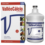 Valleecalcio Suplemento Injetável 500ml