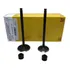 Valvula Admissao E Escape Cg 160 Bros Metal Leve retentores