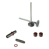 Valvula Admissao Escape Fan 125 2009 2013 Guia Retentor