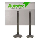 Válvula Admissão Escape Fan 125 2009 Ate 2013 Kit Par