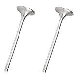 VALVULA ADMISSAO VW 1-0 16v- AT-MI EA111-16V 97-02 -4-